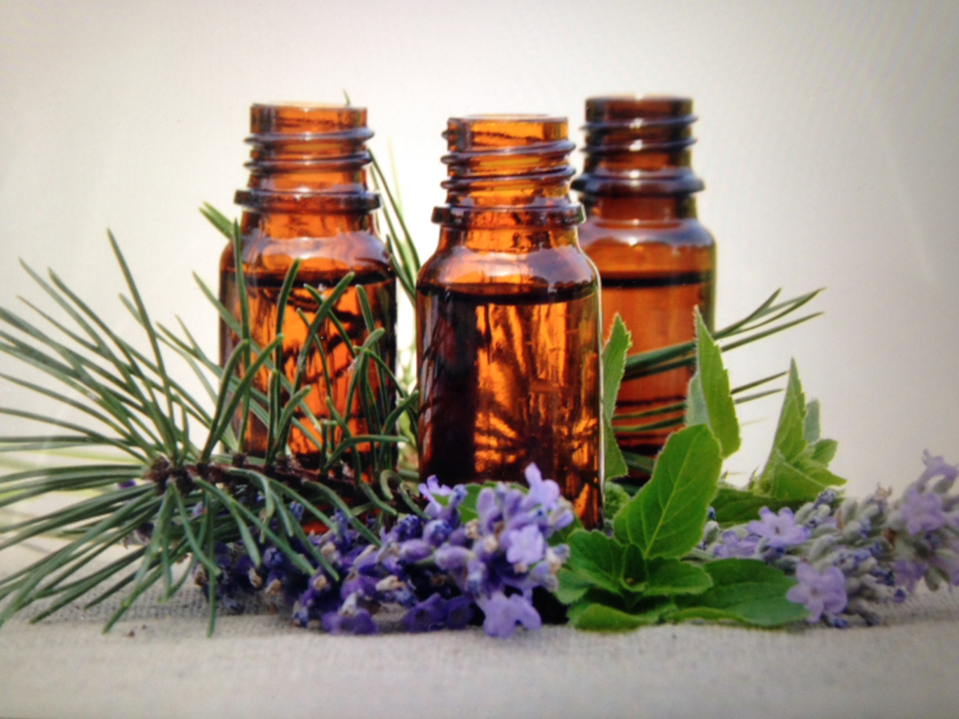 Ätherische Öle Rose Blog